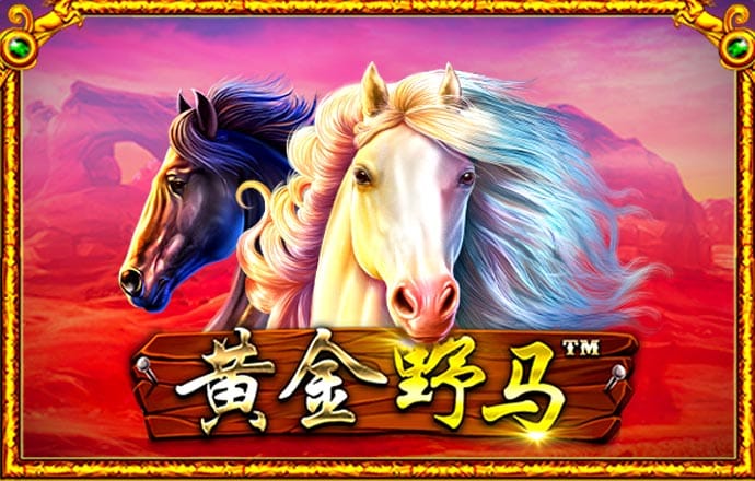 华体体育app・官方入口